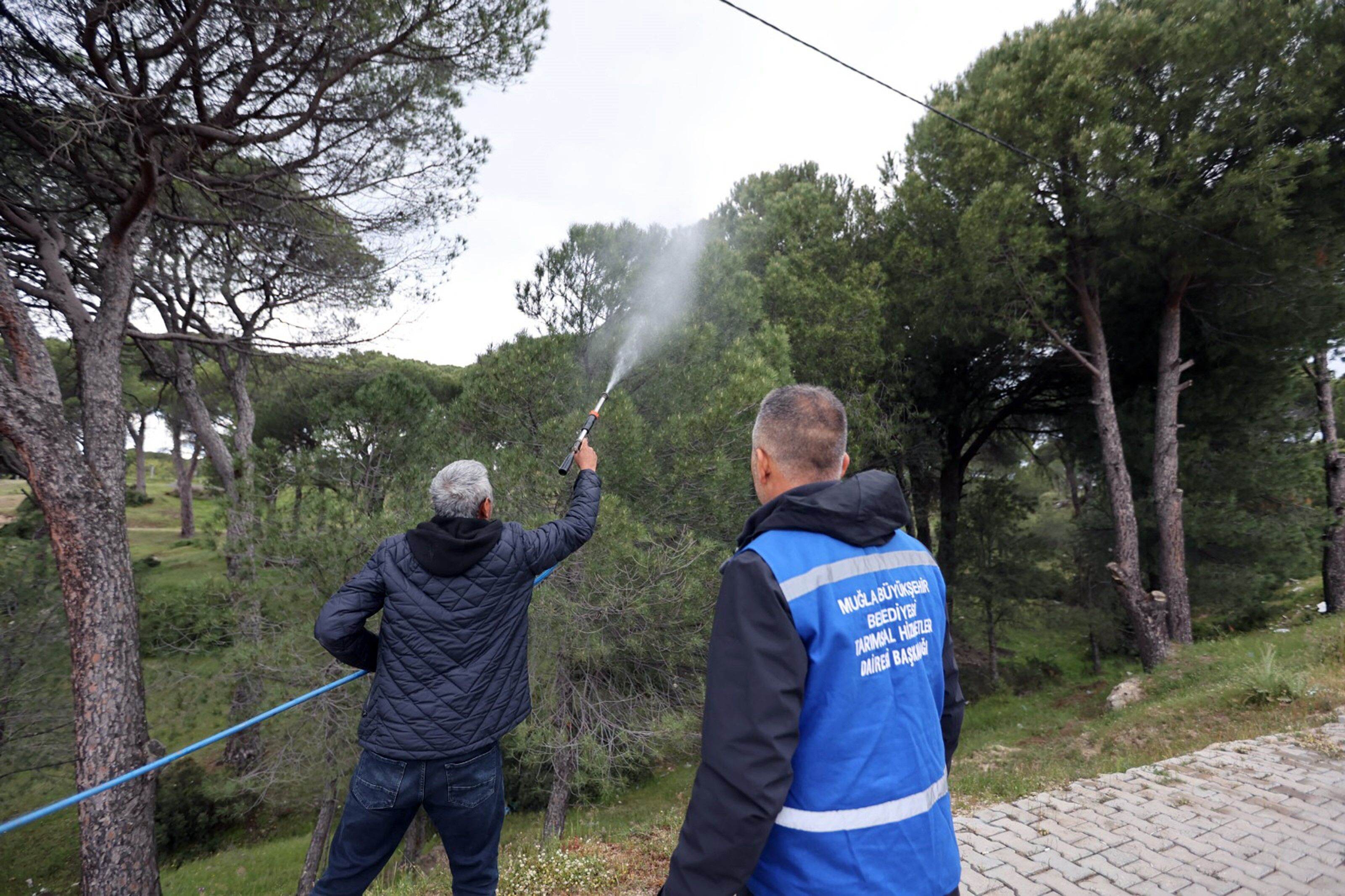 Zararlı Böcek Üretimi Durdurdu! Büyükşehir’den Üreticiye Çevre Dostu Çözüm (2)