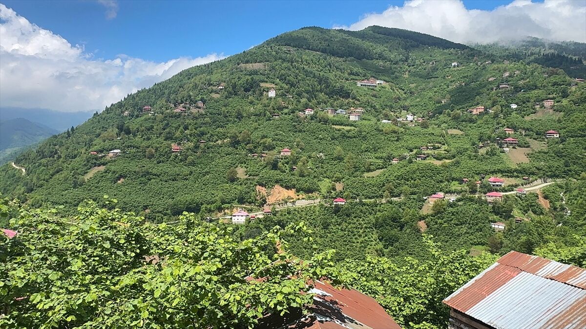 Afad Harekete Geçti, 33 Ev Boşaltıldı (2)