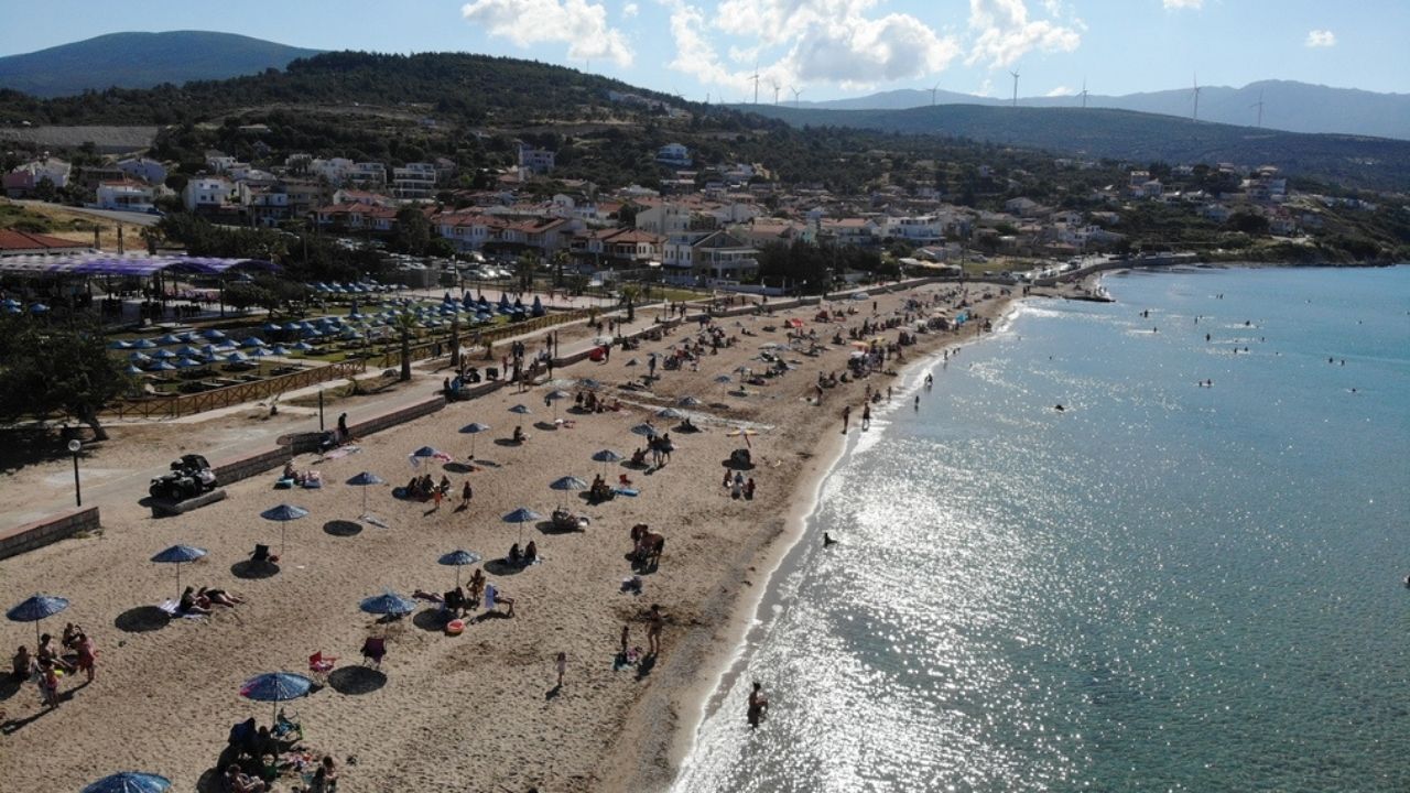 Ardıç-1