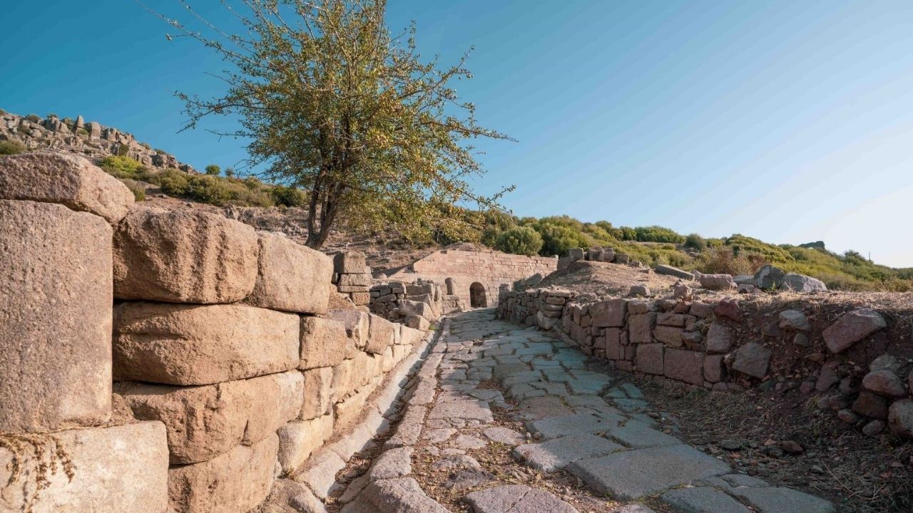 Assos Lahi̇t