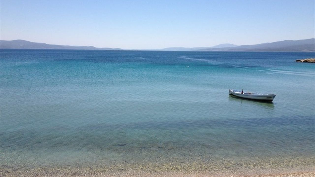 Badembükü Karaburun-1