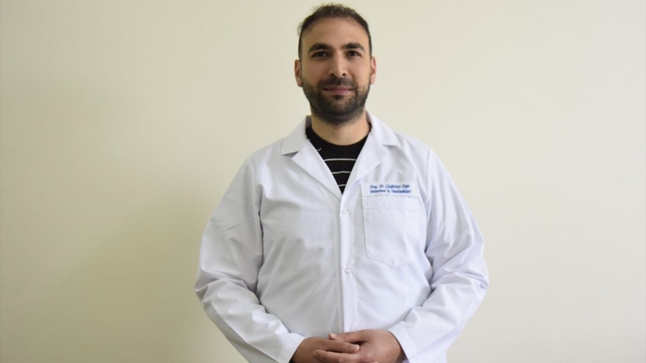 Kedilerde Gizli Tehlike! Uzmanı Uyardı Bu Belirtiler Varsa Dikkat (2)