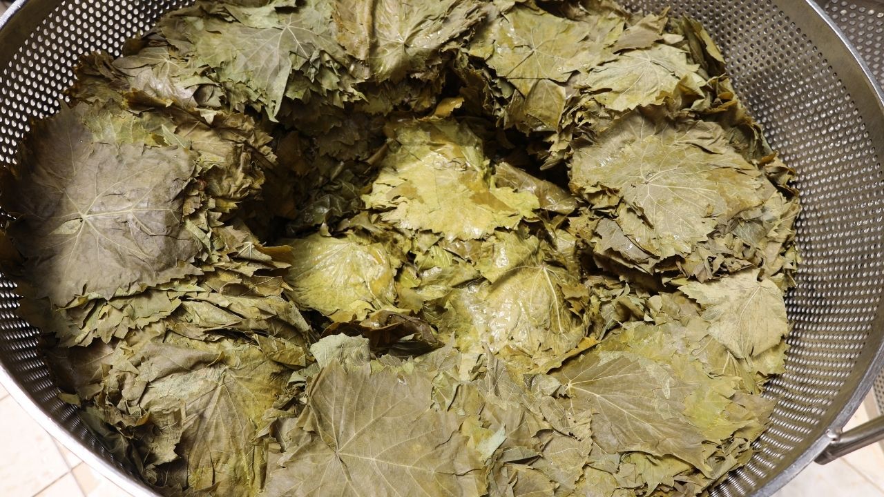 Sarma 1