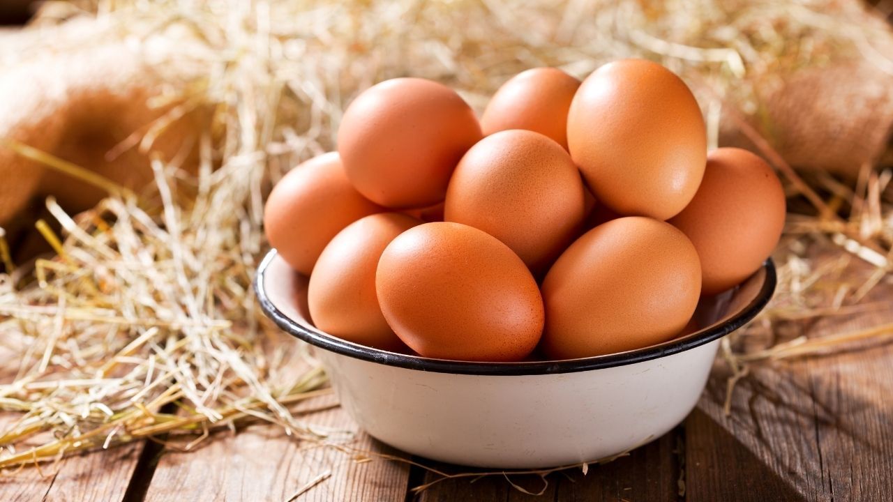 Sindirim Sorunları Yaşıyorsanız Nedeni Bu Olabilir! Yazın Çok Tüketmemek Gerekiyor Yumurta Hakkında Bilmeniz Gerekenler (1)