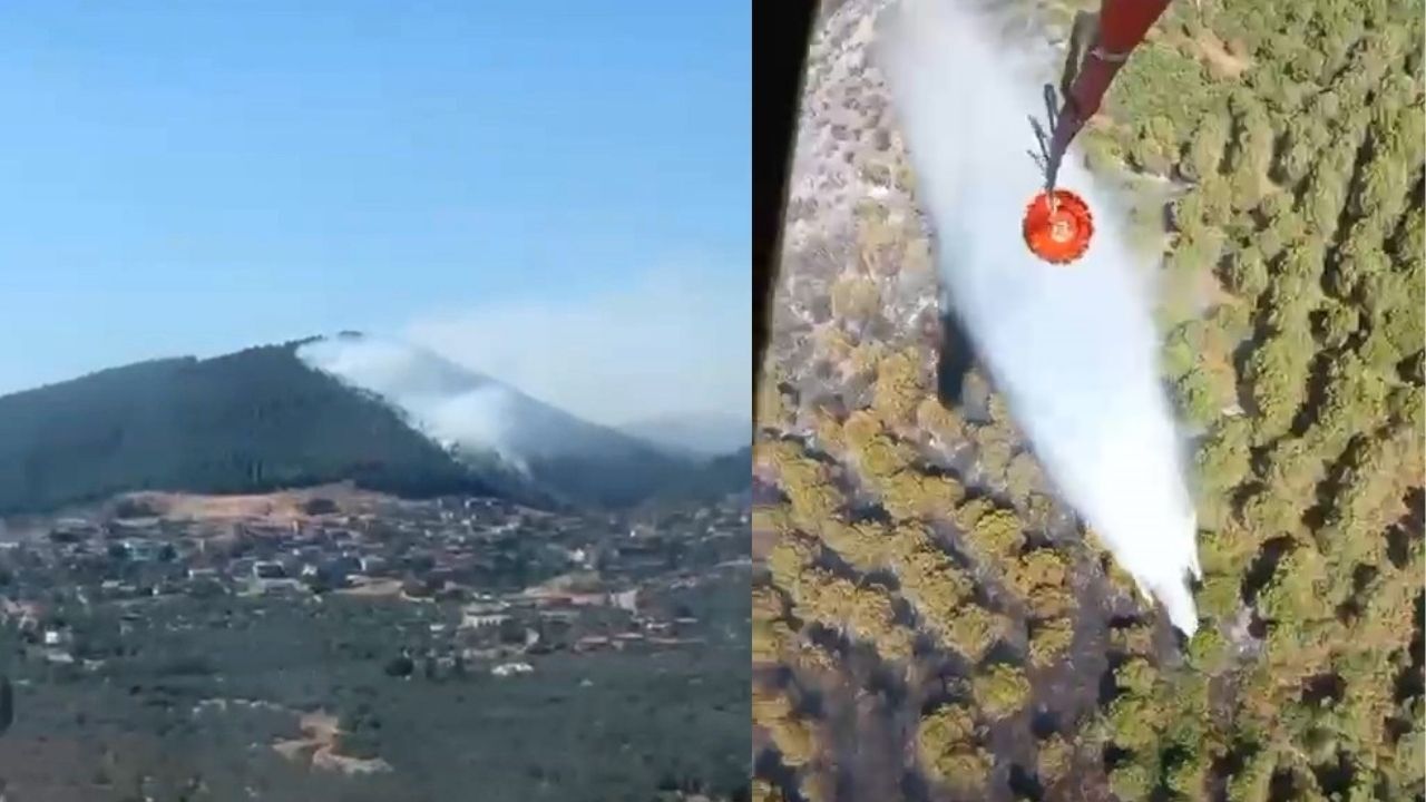 Son Dakika! Ormanlık Alanda Yangın Çıktı Ekipler Seferber Oldu (1)