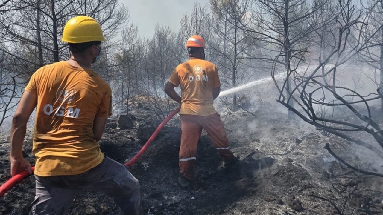 Son Dakika! Ormanlık Alanda Yangın Çıktı Havadan Ve Karadan Müdahale Sürüyor