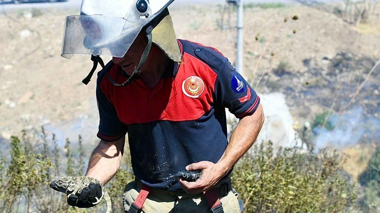 Bornova'da Çıkan Yangın Fabrikaya Ulaştı! İzmir İtfaiyesi Bir Can Kurtardı (2)