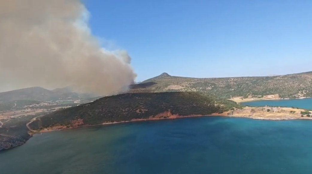 Foça'da Orman Yangını Çıktı! Ekipler Seferber Oldu-1
