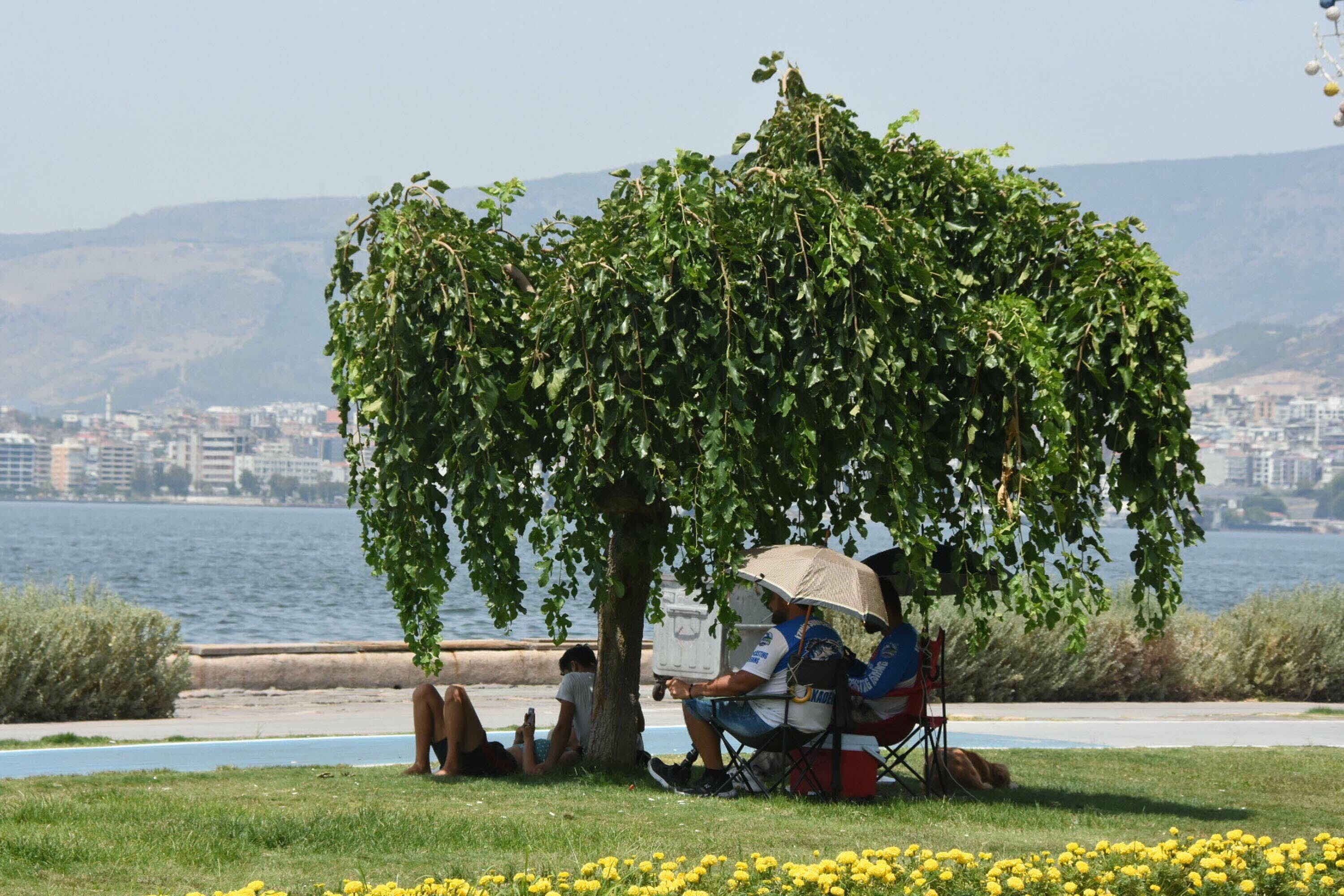 Izmir Icin Yaz Tahmini Geldi Bu Yil Sicakliklar Nasil Seyredecek Uzman Isim Acikladi