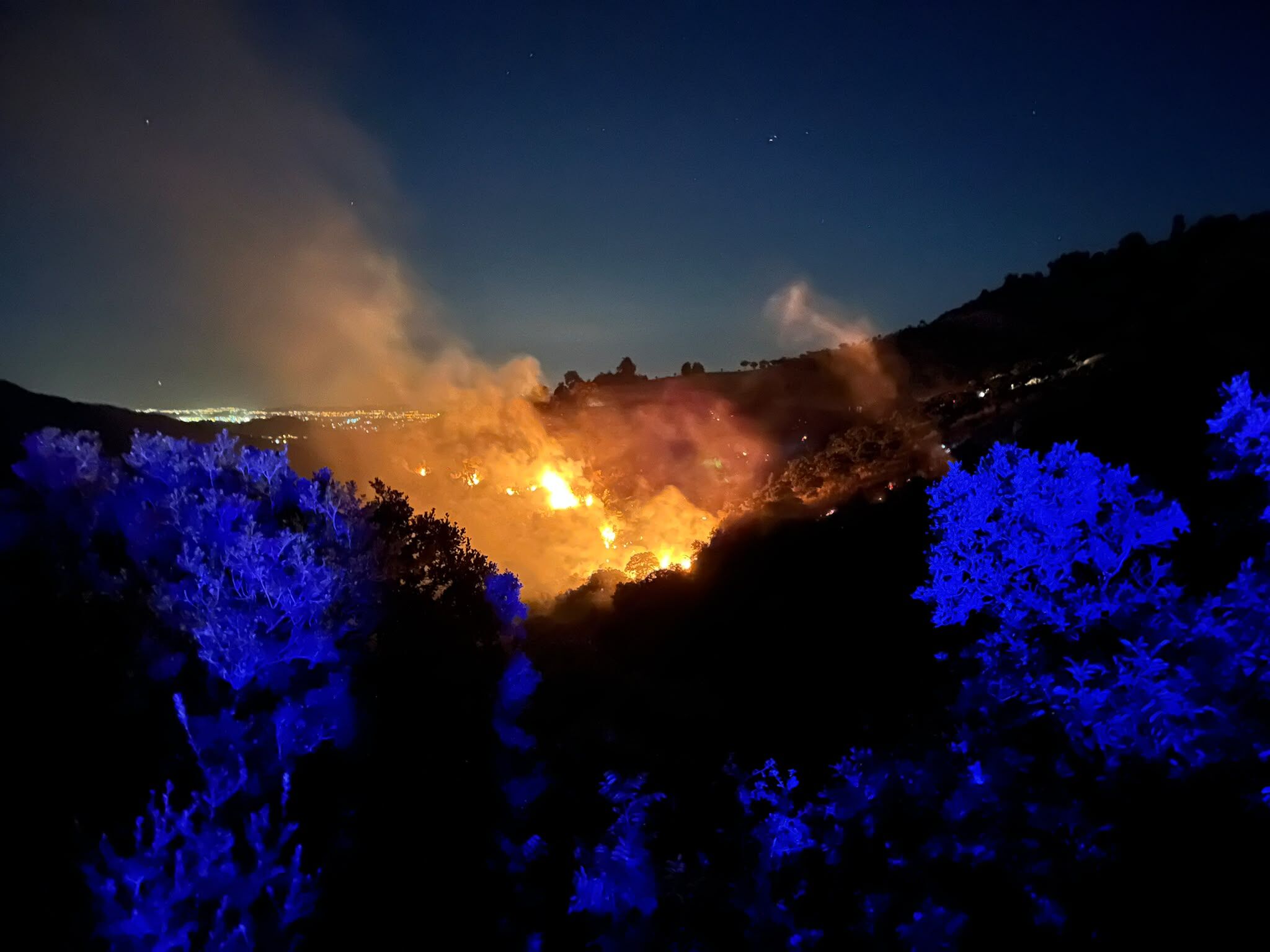 İzmir'de Gece Boyunca Süren Orman Yangını Söndürüldü (2)