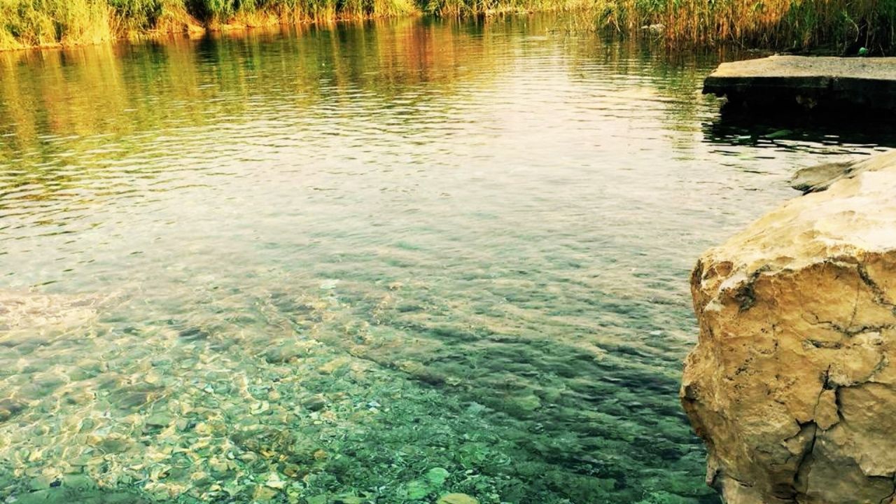 İzmir’e Sadece 1 Saat Uzaklıkta Tesis Yok, Gürültü Yok Sadece Doğa Var! Mangal Kokusundan Bıkanların Yeni Adresi (2)