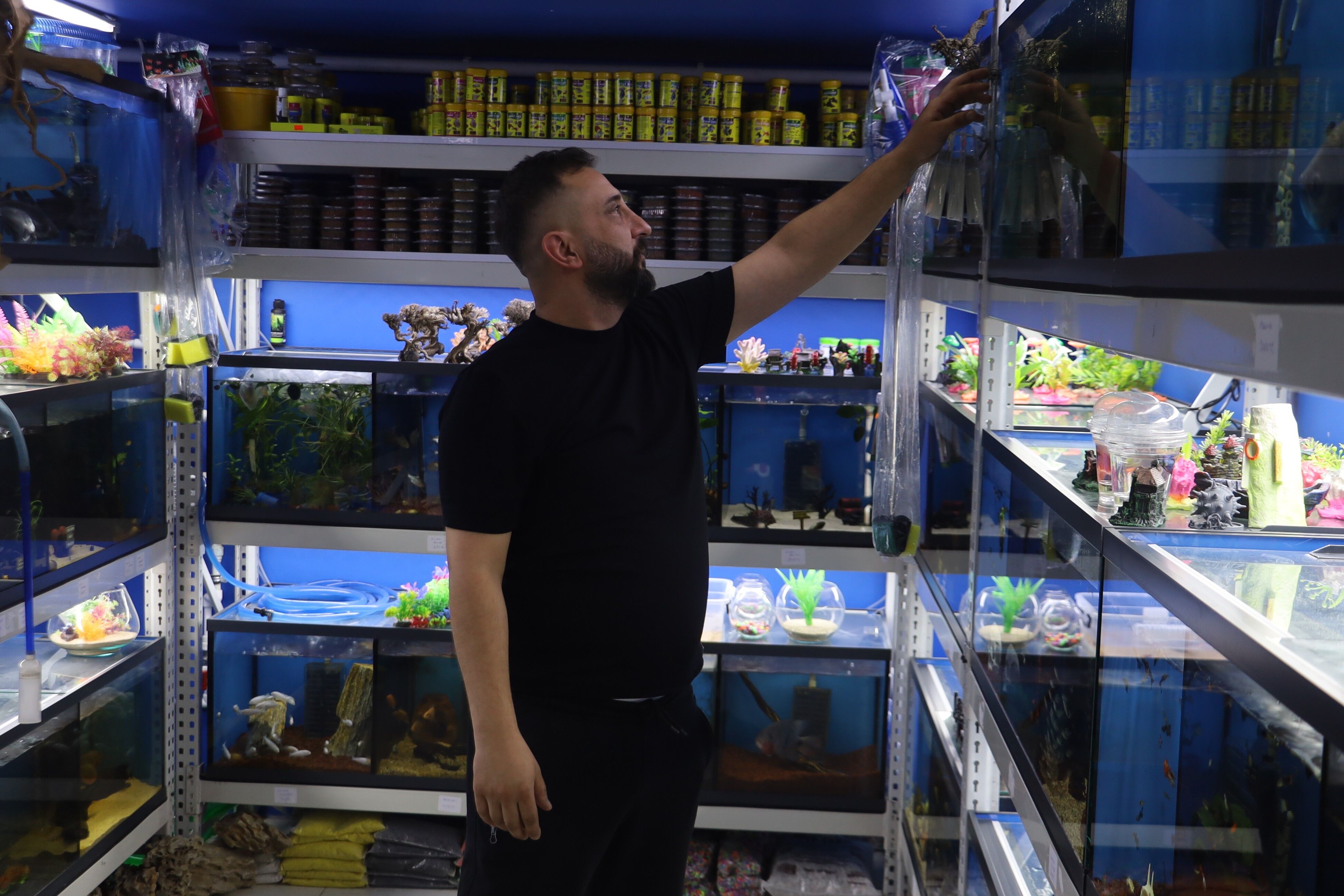 Klasik Süs Balıkları Geride Kaldı! Ev Akvaryumlarına Farklı Soluk Nadir Türler Ilgi Odağında (2)