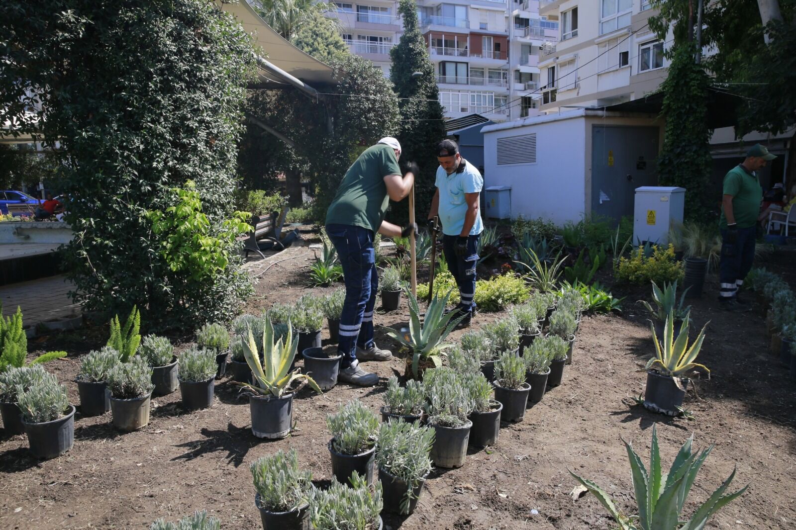 Konak’ta Parklar Dört Mevsim Yeşil Kalacak! Yenileme Seferberliği Başladı (2)
