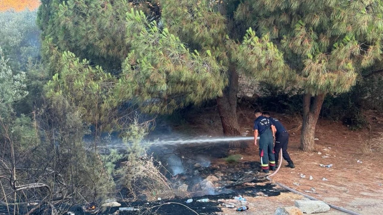 Kuşadası'nda Korkutan Yangın! Ormanlık Alana Sıçramadan Söndürüldü (1)
