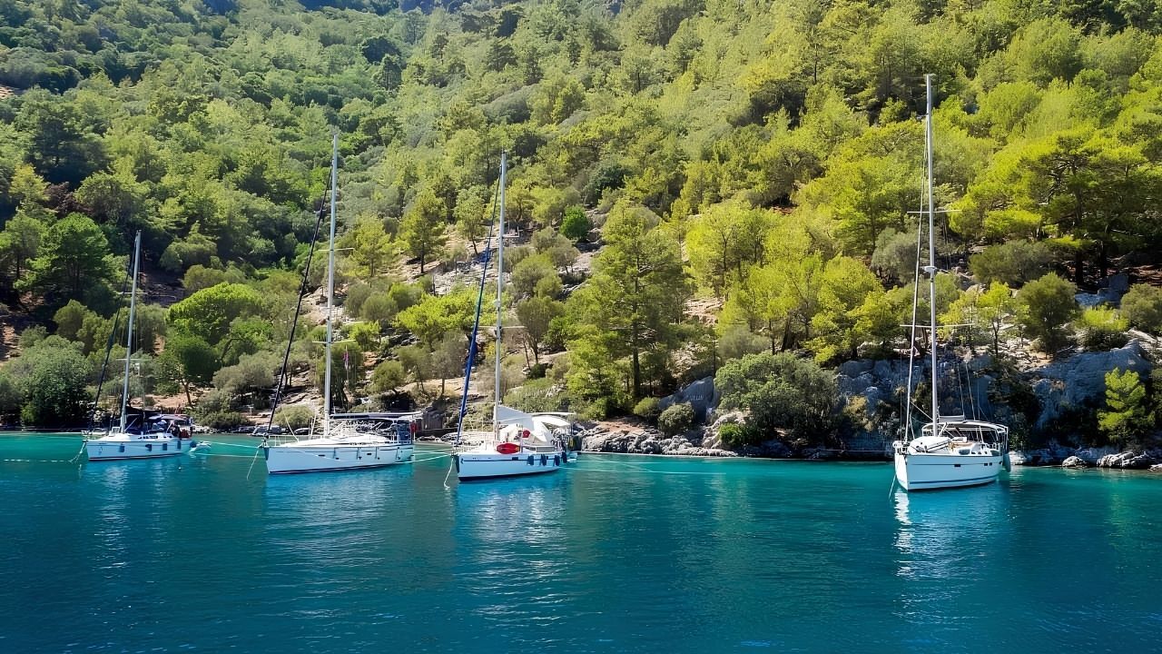 Muğla Koy 2