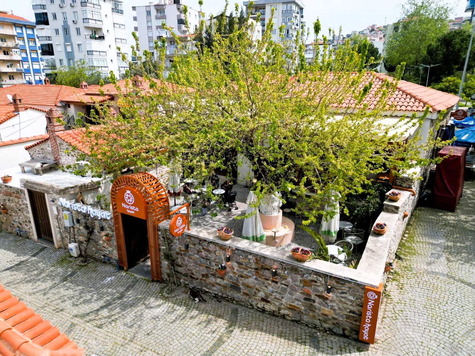 Narista (3)