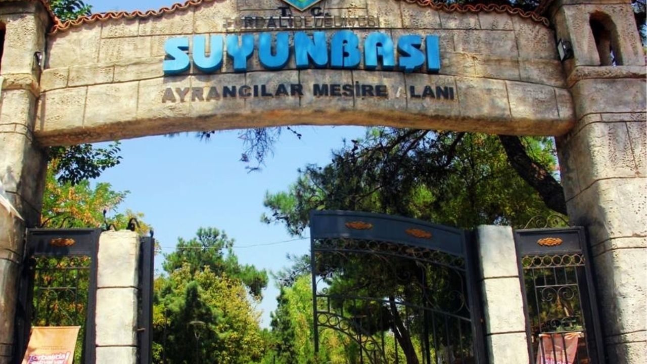 Piknik Yeri Aramaya Son! İzmir'e Sadece 50 Dakika Uzaklıkta Hem Park Yeri Var Hem De Serin Suları (3)