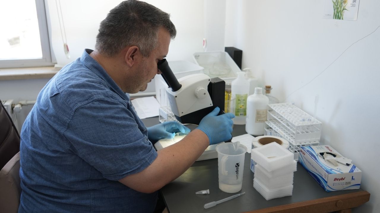 Son Günlerde Paniğe Neden Oldu! Uzman Isim Açıkladı “Bir Ay Içinde Ortadan Kaybolacak” (3)