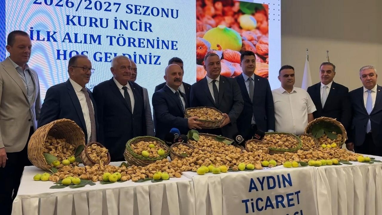Aydın Kuru Incir
