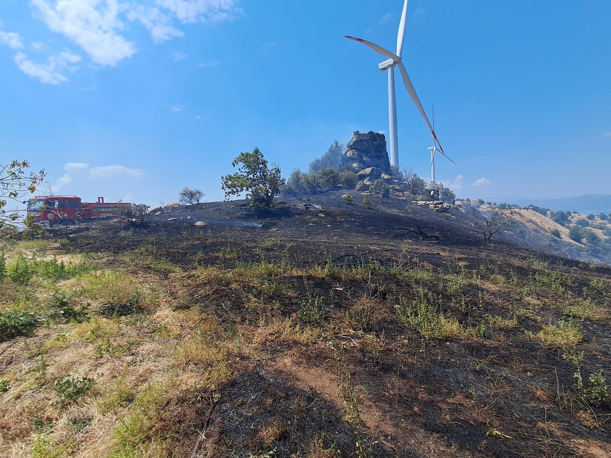 Aydın'da Korkutan Yangın! Soğutma Çalışmaları Sürüyor (2)