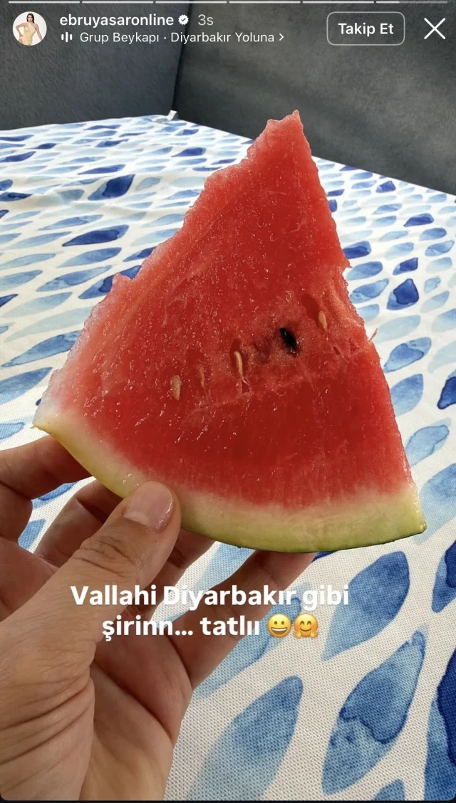 Ebru (1)-7