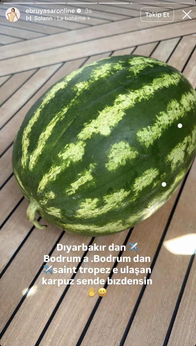 Ebru (2)-4