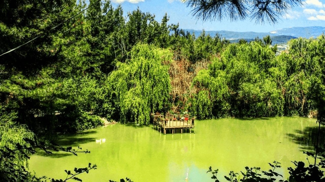 İzmir'de Fotoğraf Çekilecek En Güzel 6 Rota Belli Oldu! Şehirden Çok Uzak Değil Özel Günlerin Kurtarıcı Noktaları (1)
