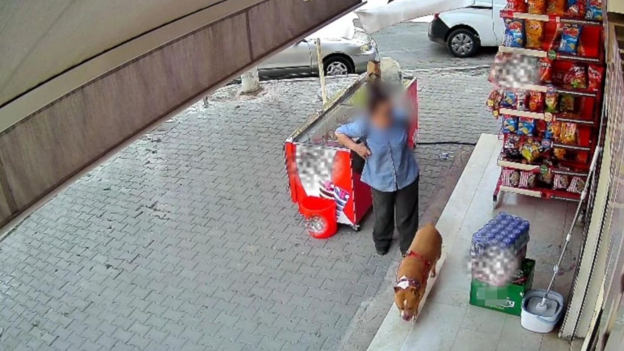 İzmir’de Köpeğini Kurtarmak Isterken Parmağı Koptu! (1)
