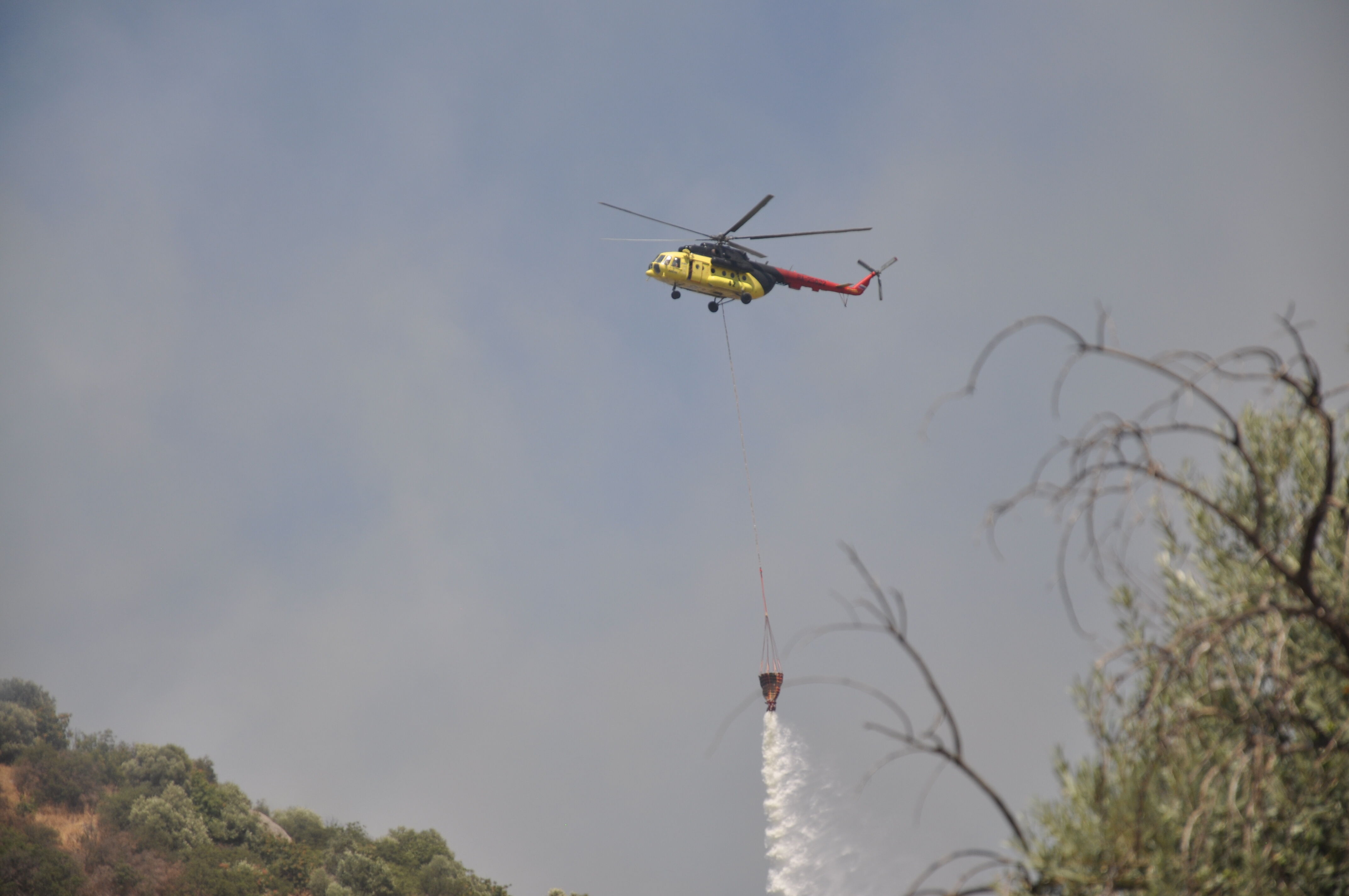 İzmir'de Korkutan Yangın! 2 Uçak Ve 6 Helikopterle Müdahale Edildi (1)