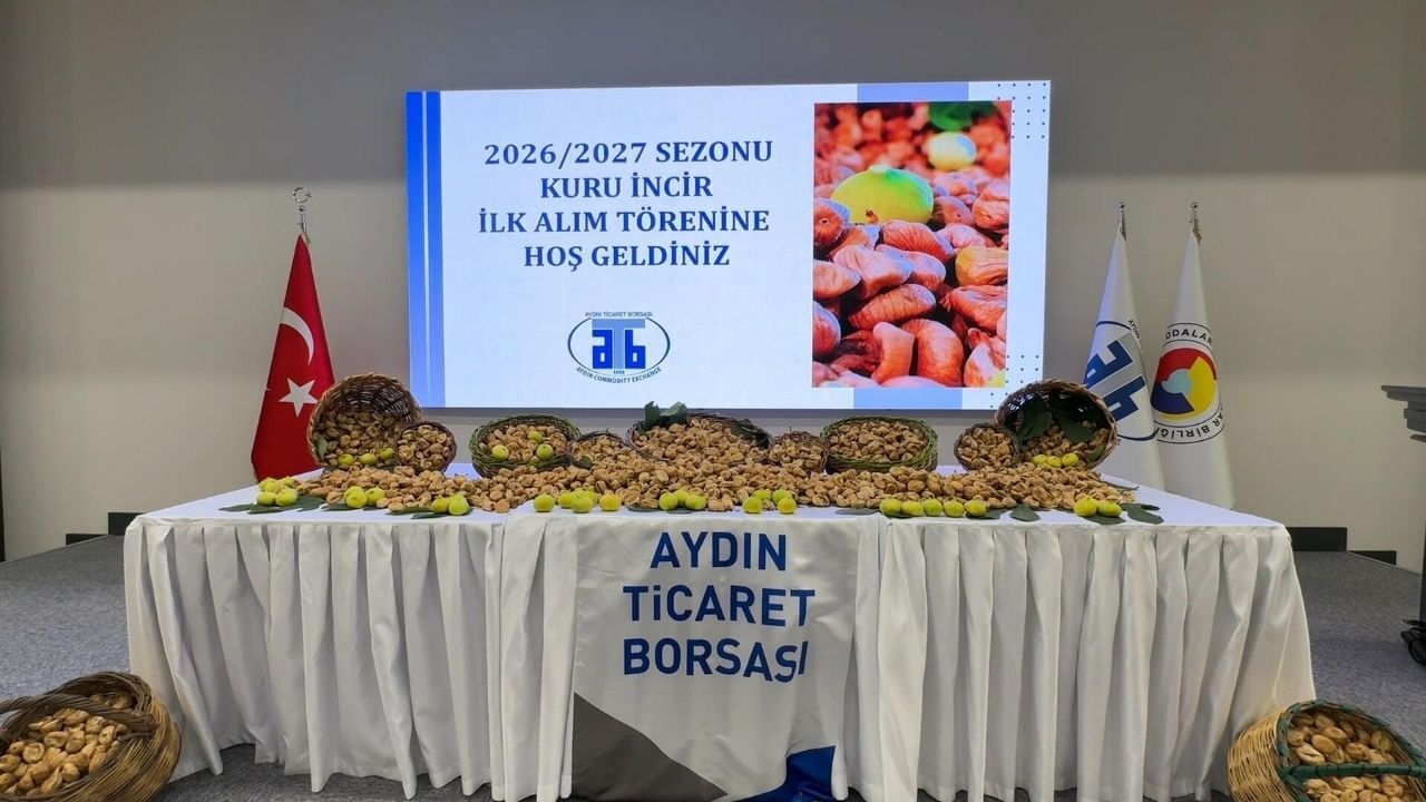 Kuru Incirrr1