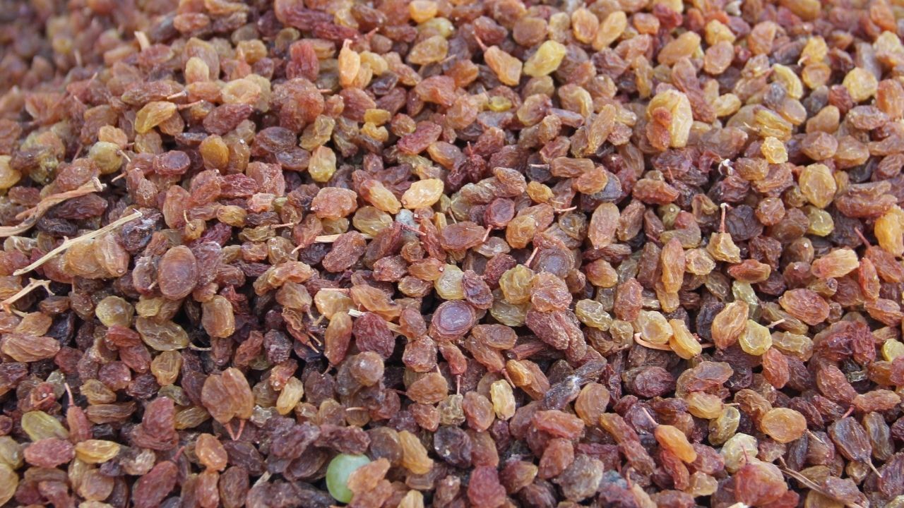 Kuru Üzüm-2