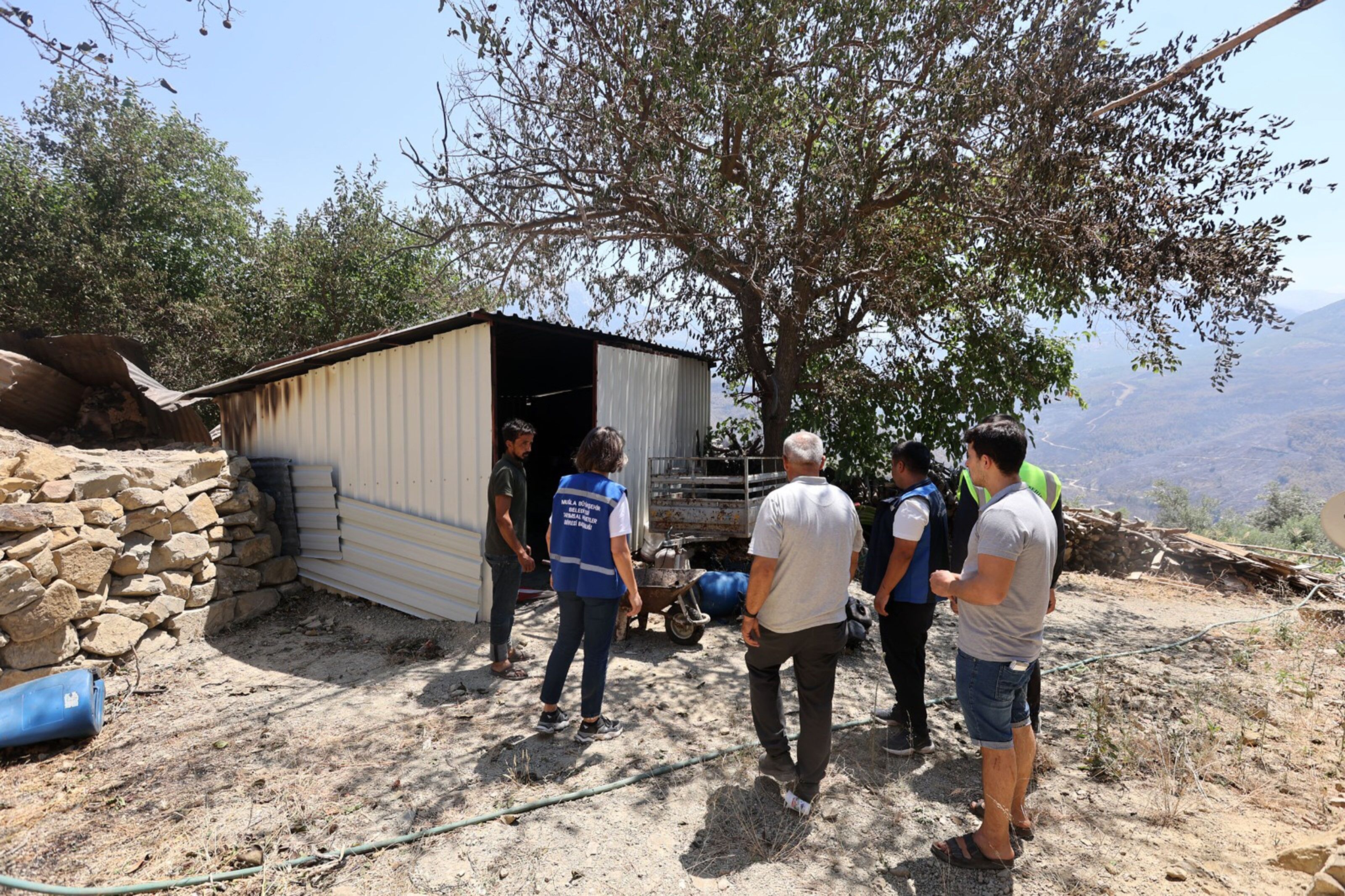Muğla’da Yangın Yaraları Sarılıyor Zarar Gören Üreticiler Için Destek Süreci Başlıyor (2)