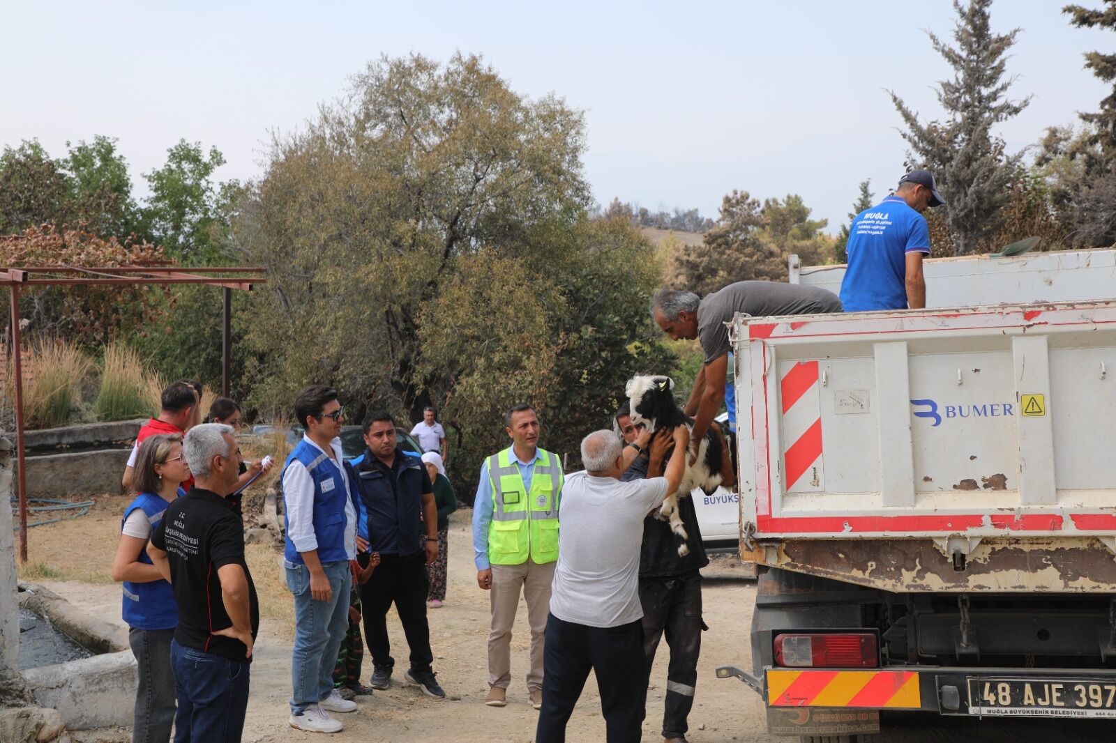 Muğla'da Yangının Yaraları Sarılıyor Üreticilere Yardımlar Ulaşmaya Başladı (1)