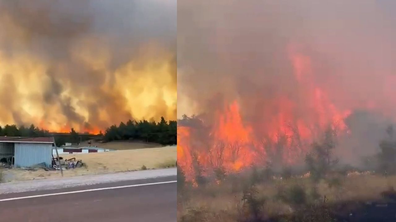 Son Dakika Çanakkale'de Ormanlık Alanda Yangın Çıktı