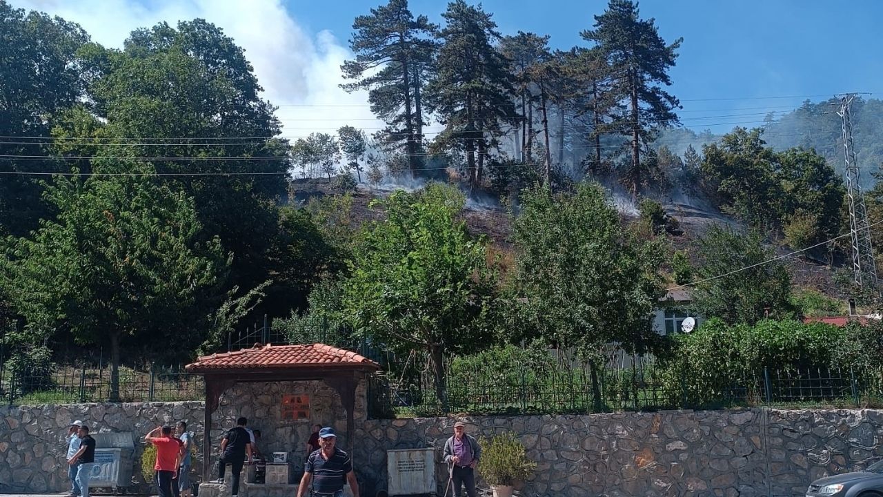 Son Dakika Ormanlık Alanda Yangın Çıktı 30 Hektarlık Alan Etkilendi (1)