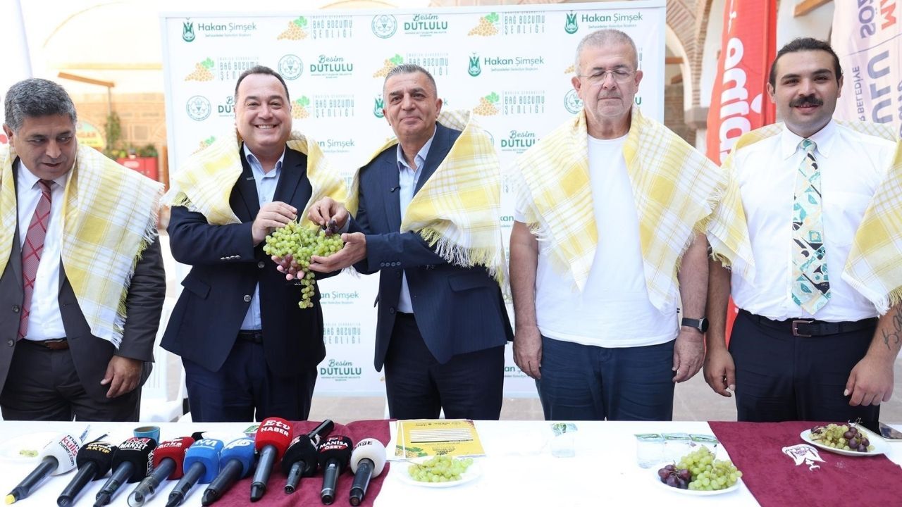 Üzüm Festivall