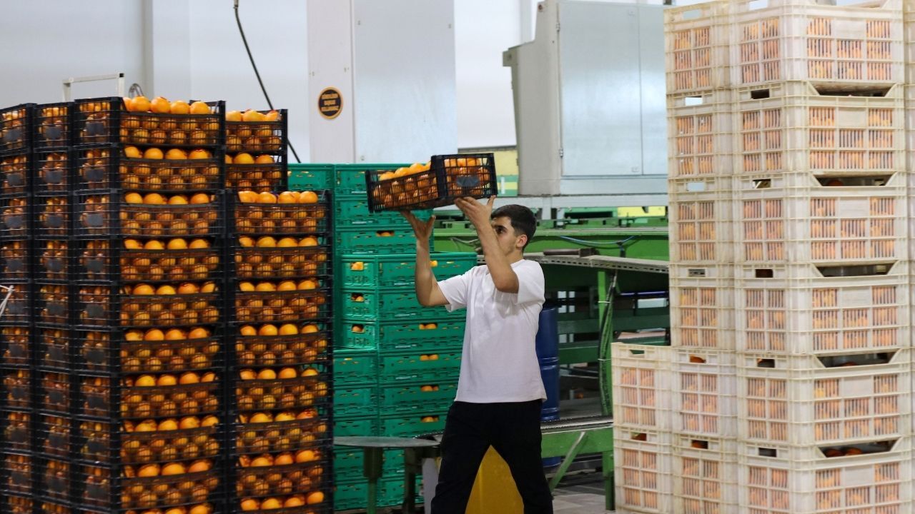 Yaş Meyvede Ihracat Rekoru Geldi 7 Ayda 1 Milyar Doları Geçti (2)
