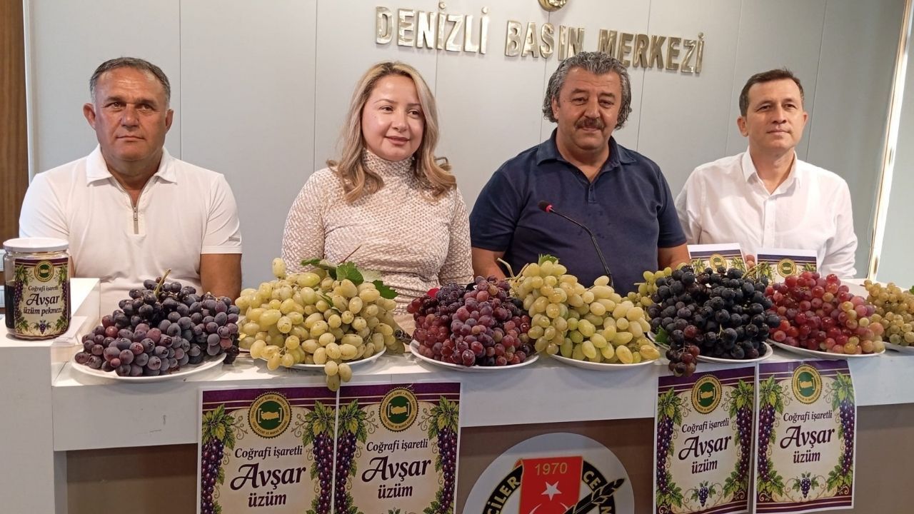 Yaklaşık 30 çeşit üzüm yetişiyor! Avşar'da festival hazırlığı başladı