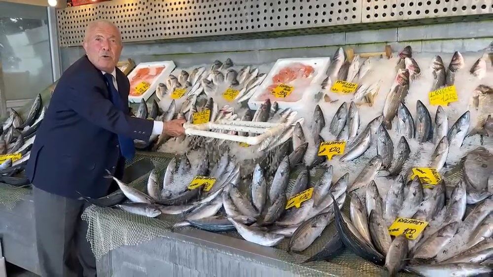 Balık tezgahları hareketlendi: Hamsi ve palamutta dikkat çeken fiyatlar