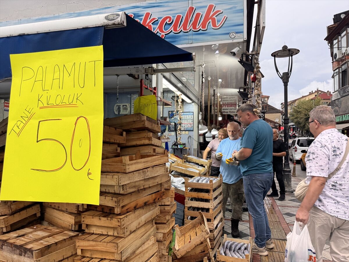 Balıkçıların Kasaları Palamutla Doldu Fiyat 50 Tl’ye Düştü (2)