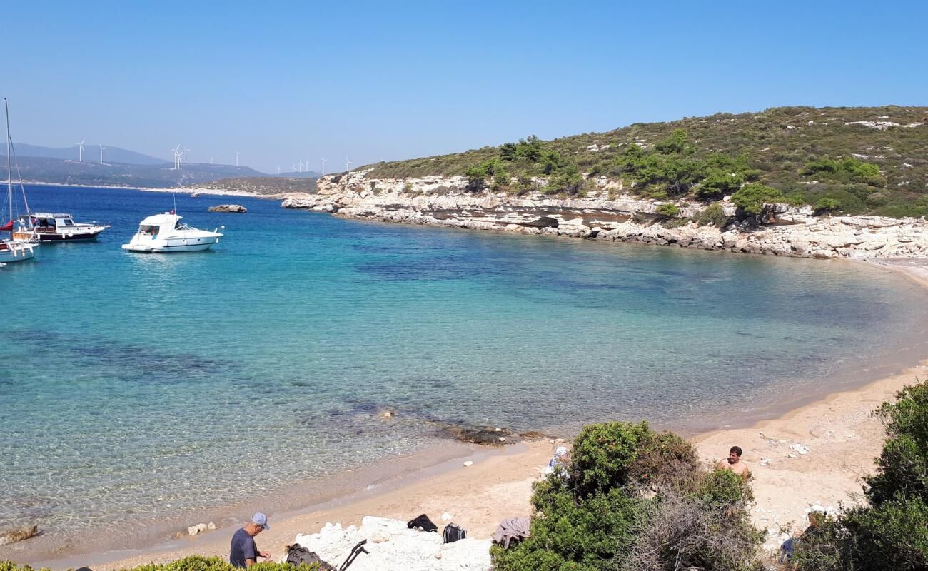 Ne Çeşme ne Foça! İzmir’in gizli koyunda su hala yüzmeye çağırıyor: Berraklığı gören gözlerine inanamıyor