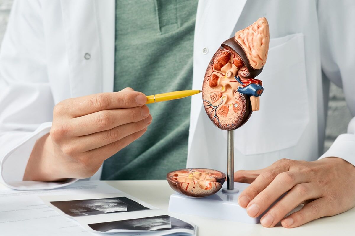 Endoürolojide yeni dönem: Böbrek taşından prostata birçok tedavide dikkat çeken gelişmeler