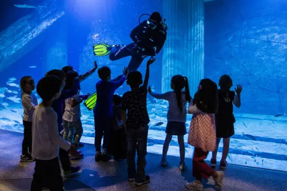 Funtastic Aquariums İzmir (2)