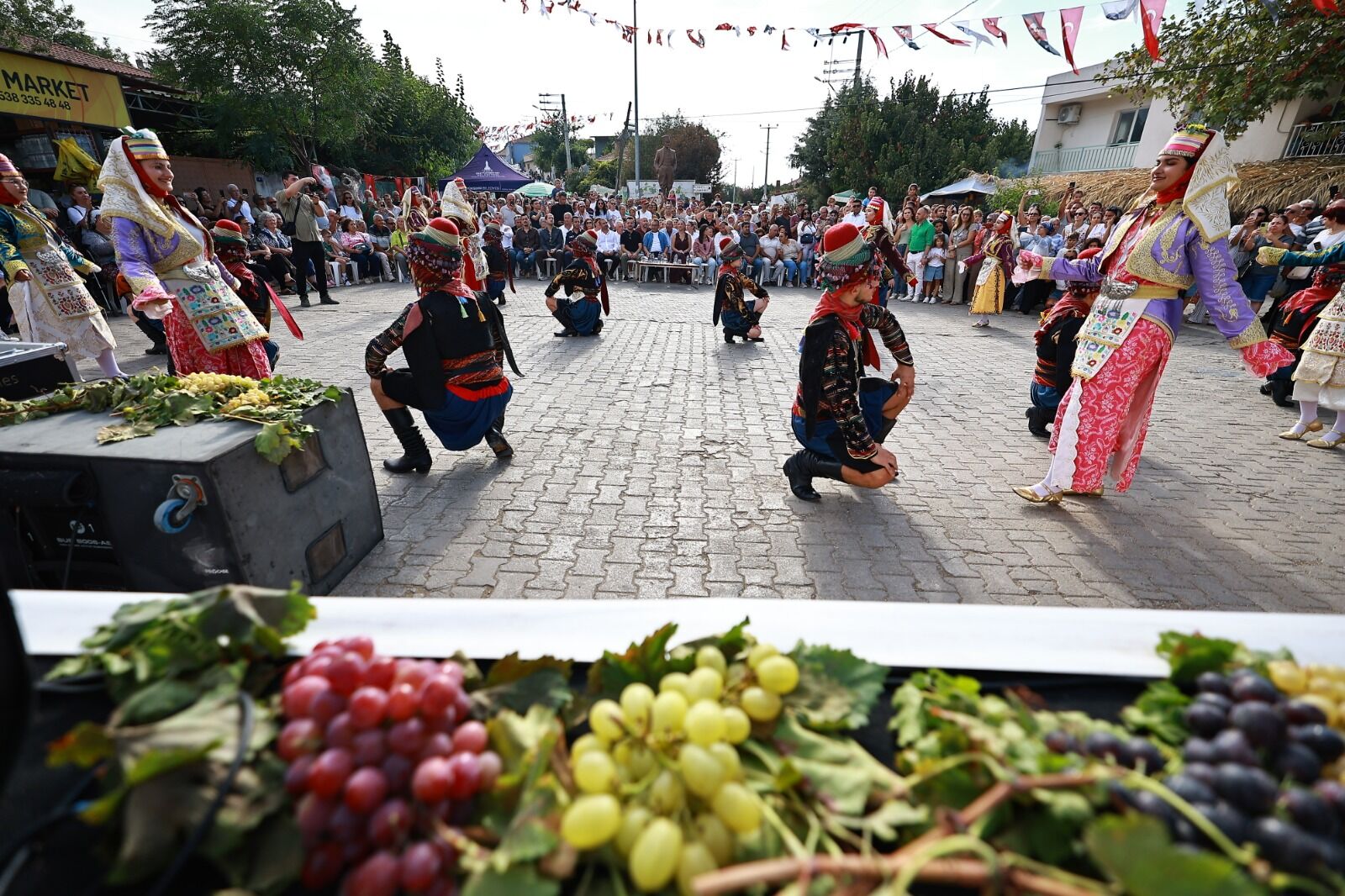Gökçealan Osmancık Üzüm Şenliği (1)