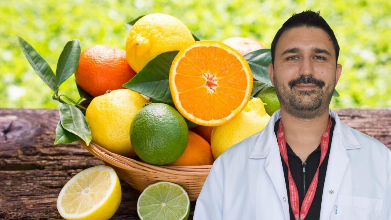 Meyveee Insülün