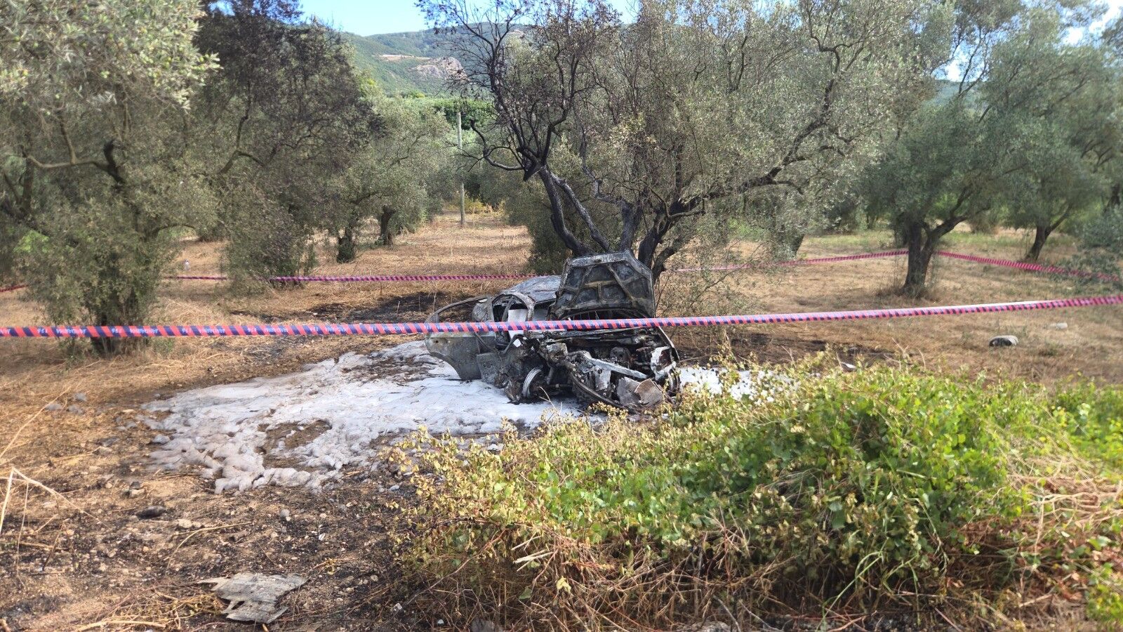 Otomobil Zeytin Ağacına Çarptı! 1 Ölü, 5 Yaralı (2)