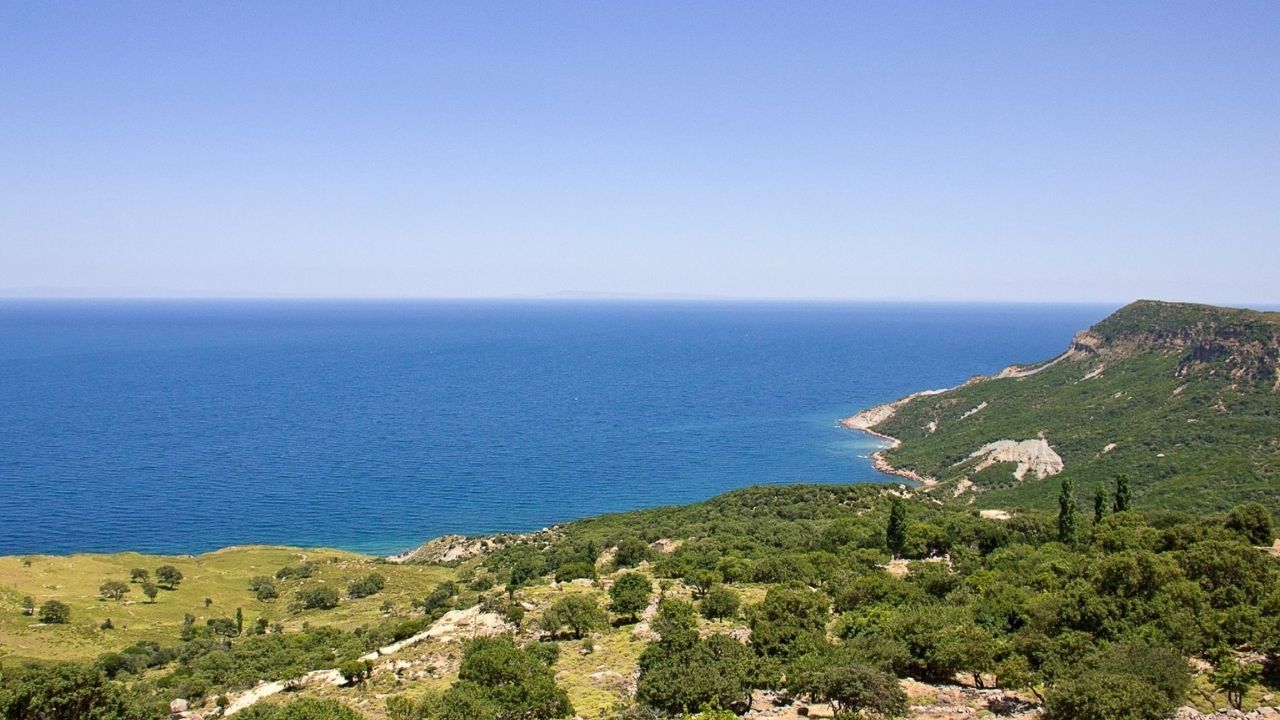 Ulaa