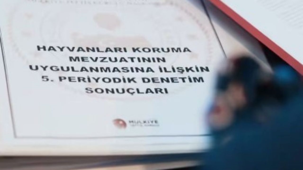 Bakan Çiftçi’den Sokak Hayvanlarına Yönelik Açıklama “Anlayışımız Nettir” (2)