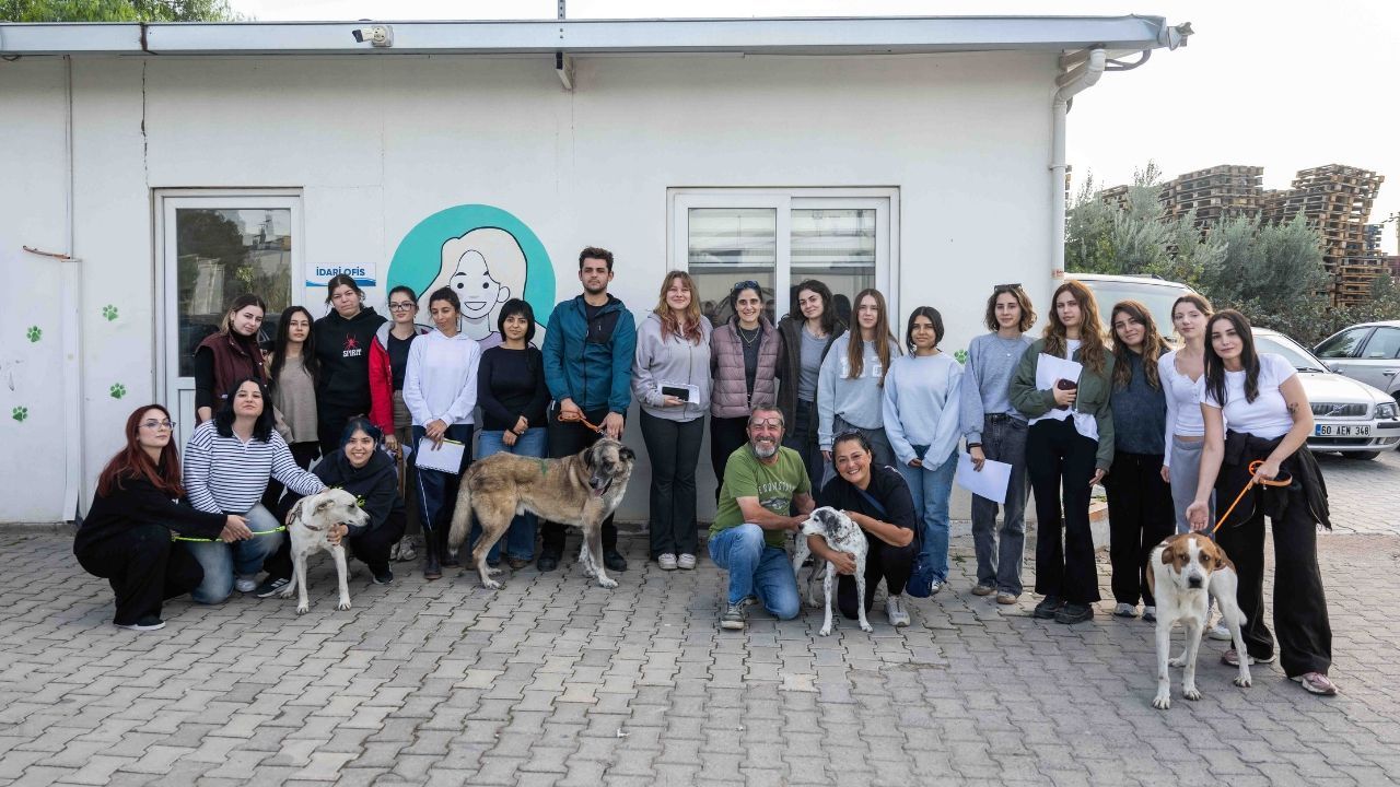 Ege Üniversitesi'nden Alınan 83 Köpek Yeni Yuvalarına Kavuşuyor (1)