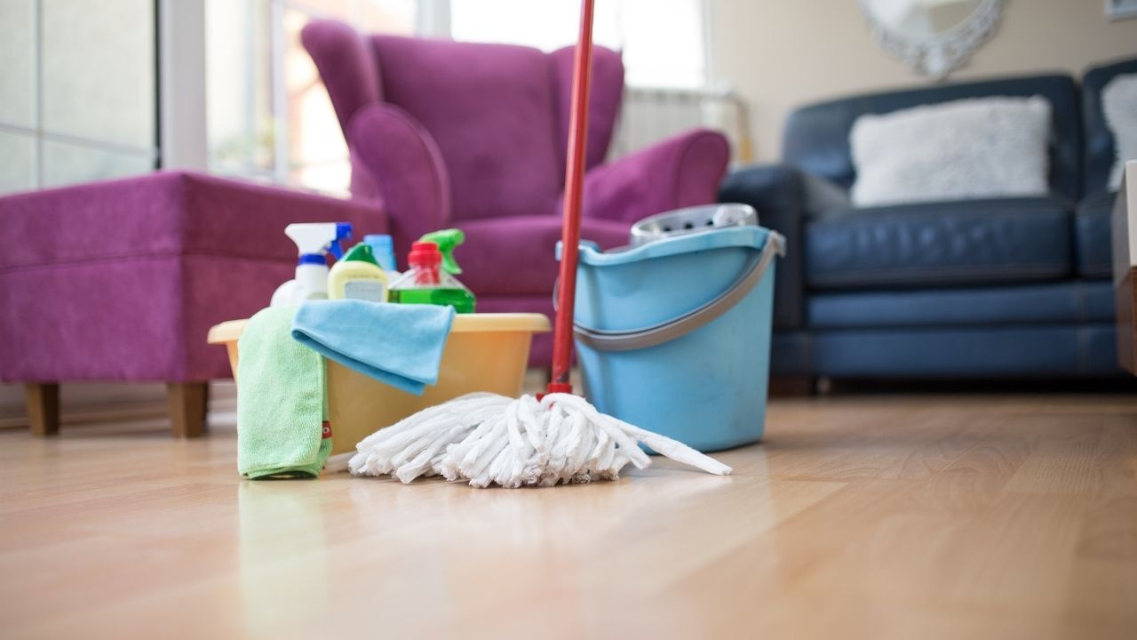 Evinde Kedi Veya Köpek Besleyenler Dikkat! Yerleri Silerken Kullandığınız Temizlik Ürünü Tehlike Saçabilir (2)